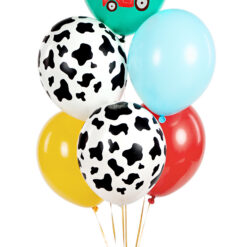 Õhupallide komplekt farm